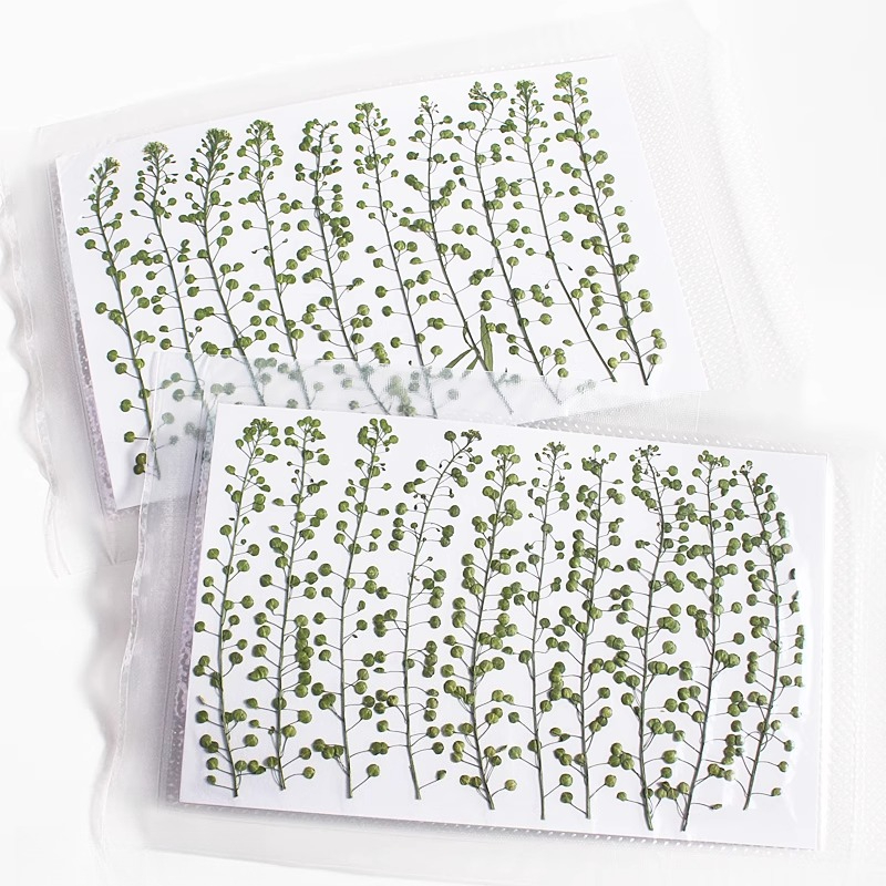 Natural Color Green Bell Grass - Resin Craft Ideas recension och pris