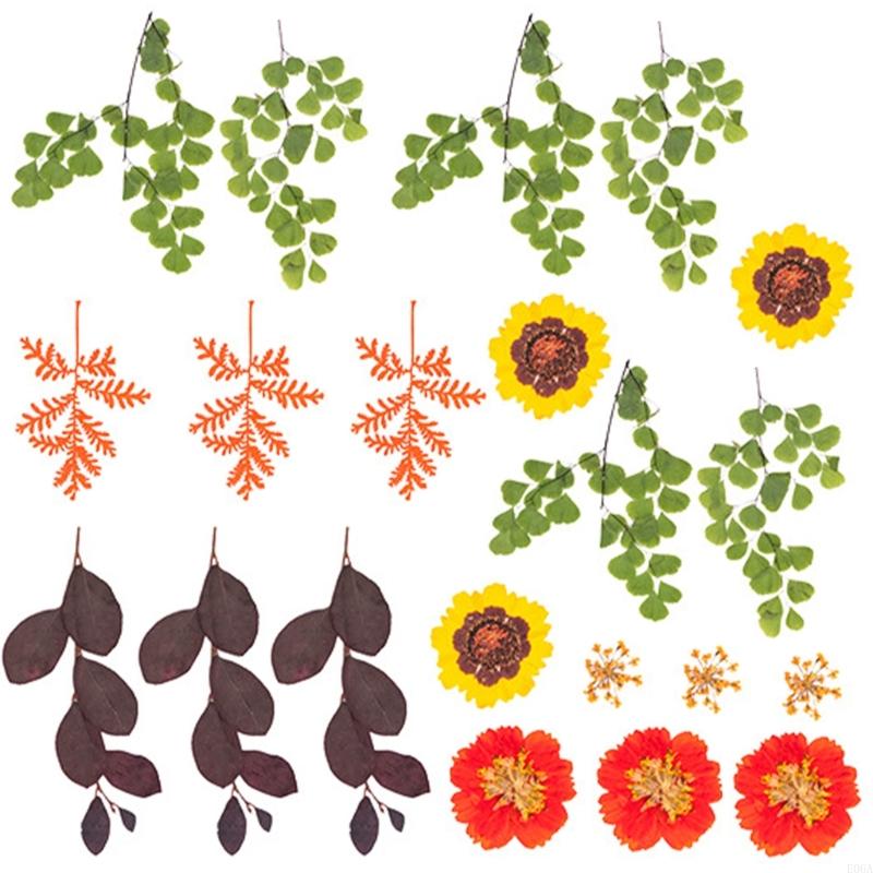 Natural Pressed Dried Flower F - Resin Craft Ideas recension och pris