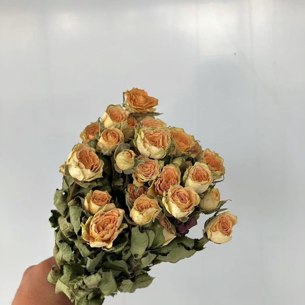 Real Preserved Roses Dried Flo - Resin Craft Ideas recension och pris