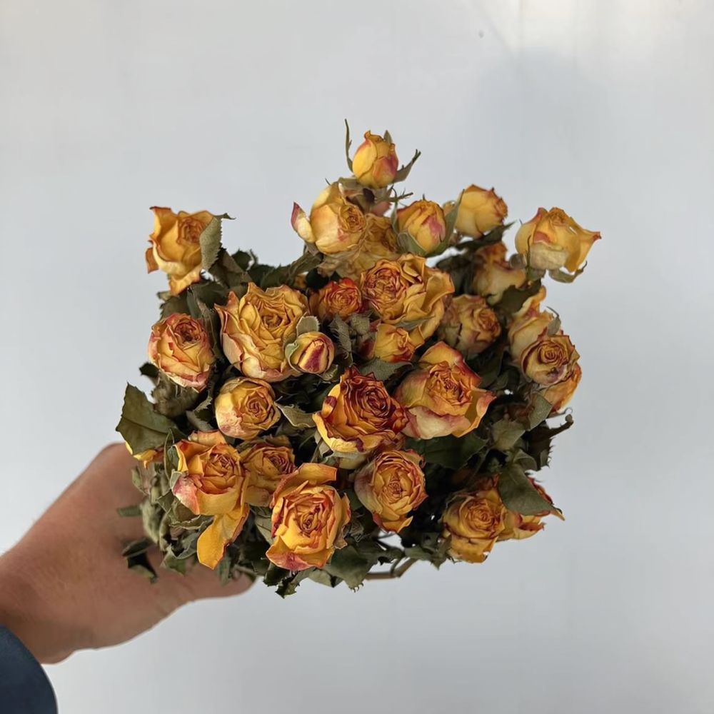 Real Preserved Roses Dried Flo - Resin Craft Ideas recension och pris