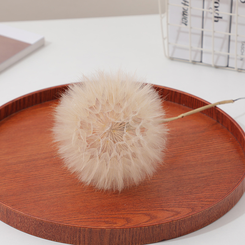 Preserved Dandelion DIY Epoxy  - Resin Crafts Diy recension och pris