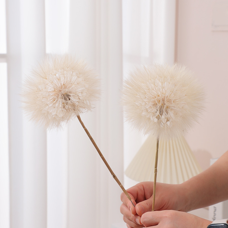 Preserved Dandelion DIY Epoxy  - Resin Crafts Diy recension och pris