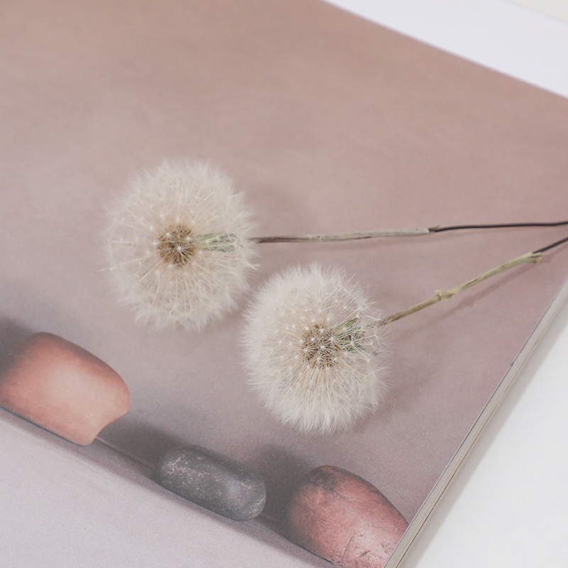 Preserved Dandelion DIY Epoxy  - Resin Crafts Diy recension och pris