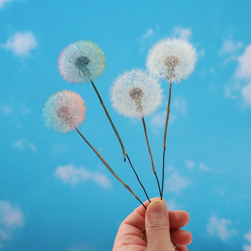 Preserved Dandelion DIY Epoxy  - Resin Crafts Diy recension och pris